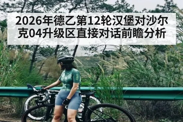 2026年德乙第12轮汉堡对沙尔克04升级区直接对话前瞻分析